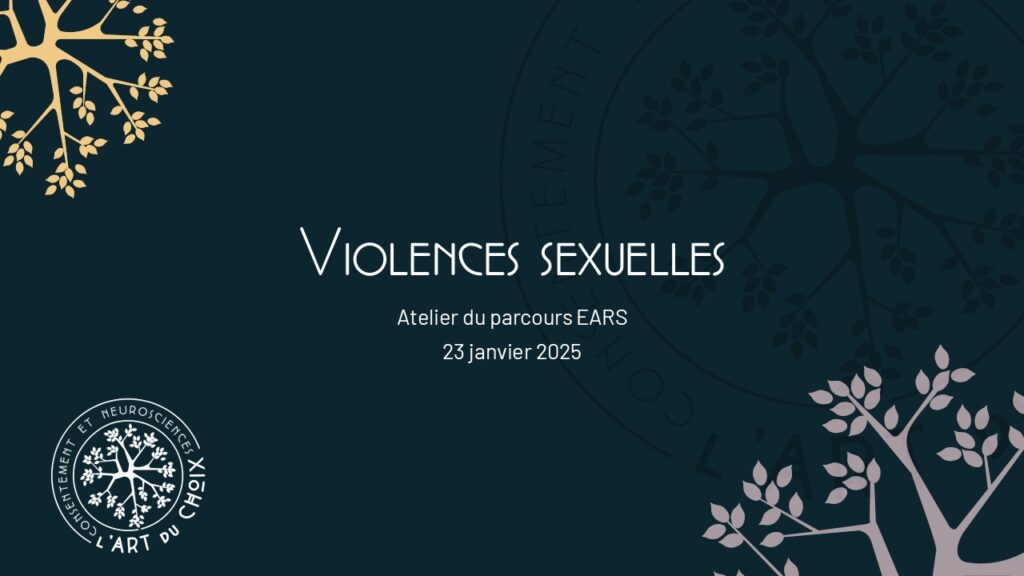 page titre d'une présentation sur les violences sexuelles